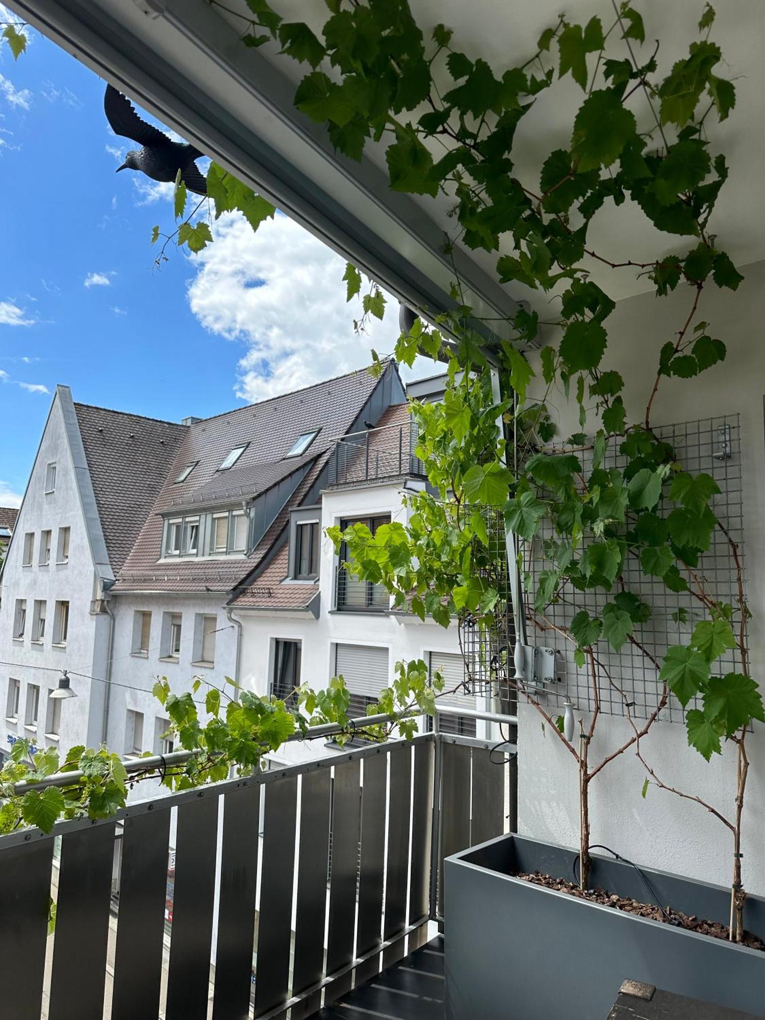 Apartment11 Ulm Ngoại thất bức ảnh